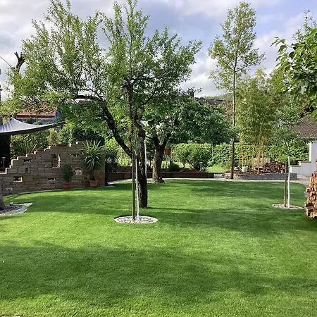 Schoene Naehe Der Schweizer Grenze *